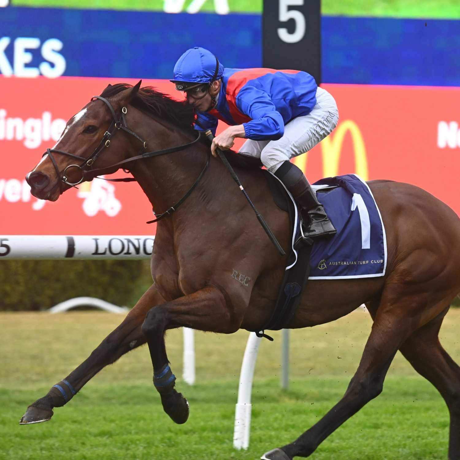 Racing Previews