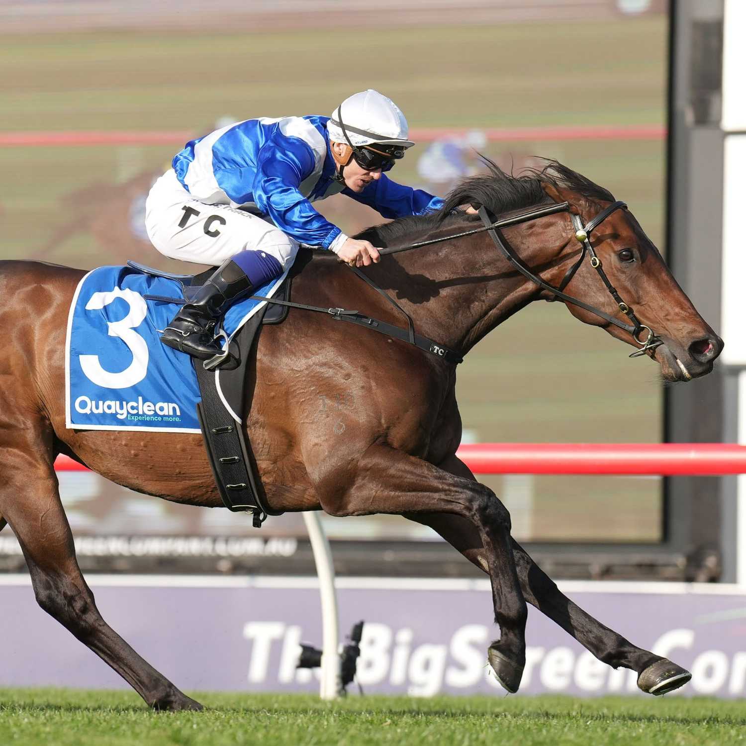 Racing Previews