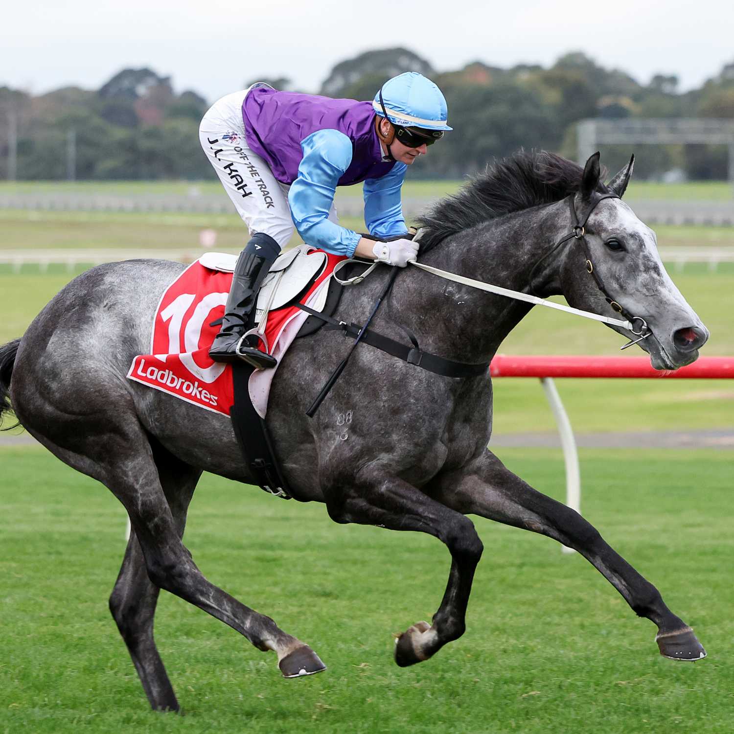 Racing Previews