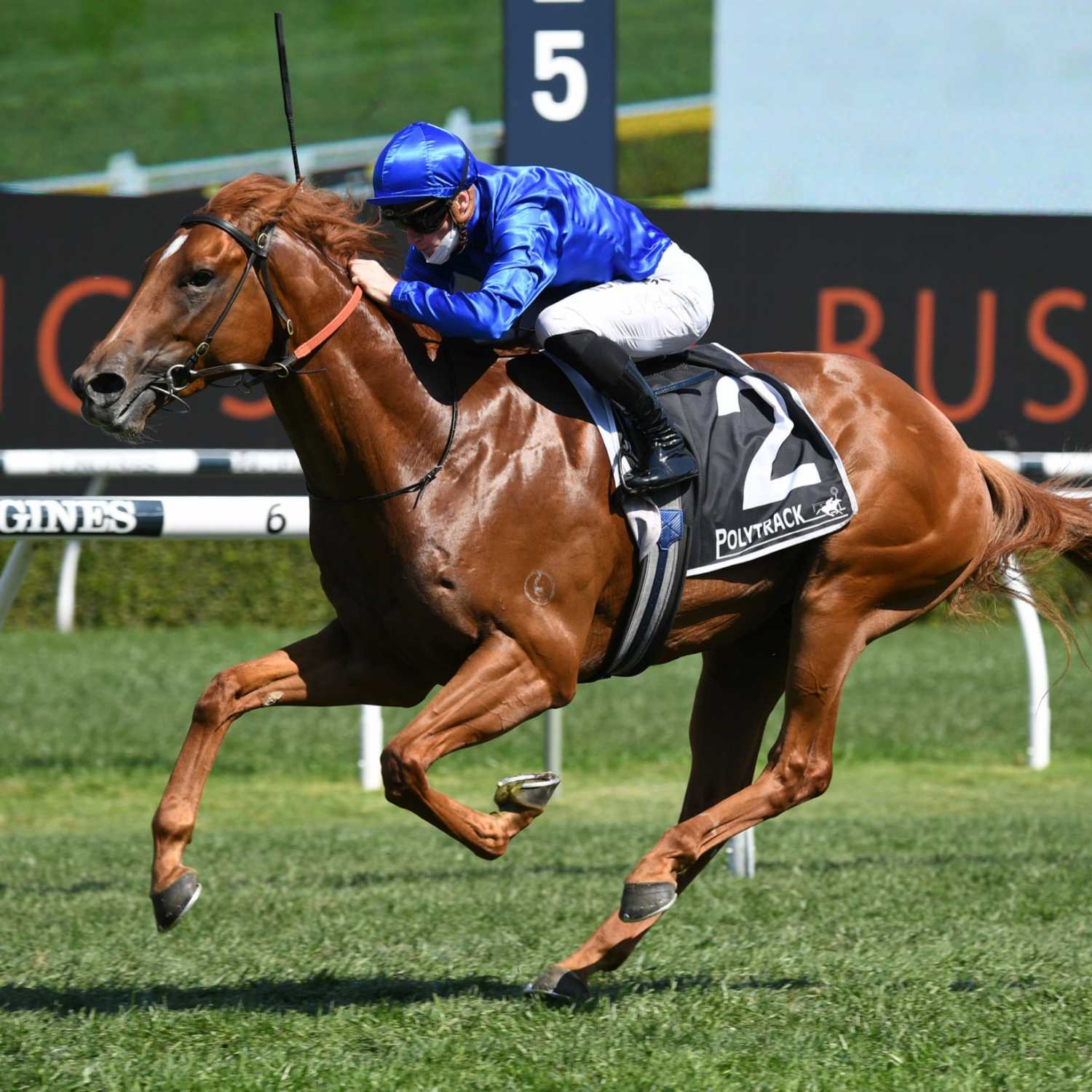 Racing Previews