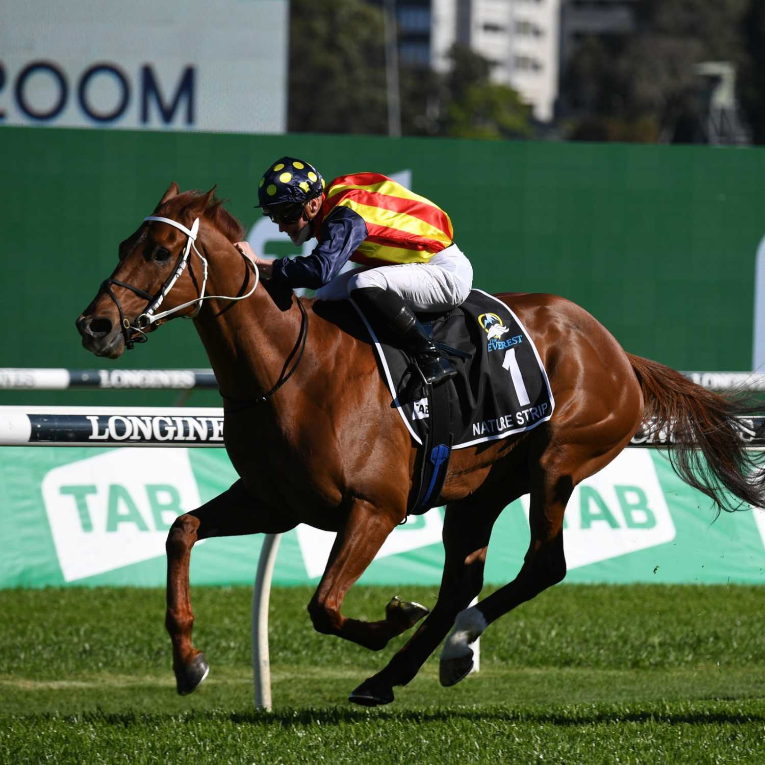 Racing Previews