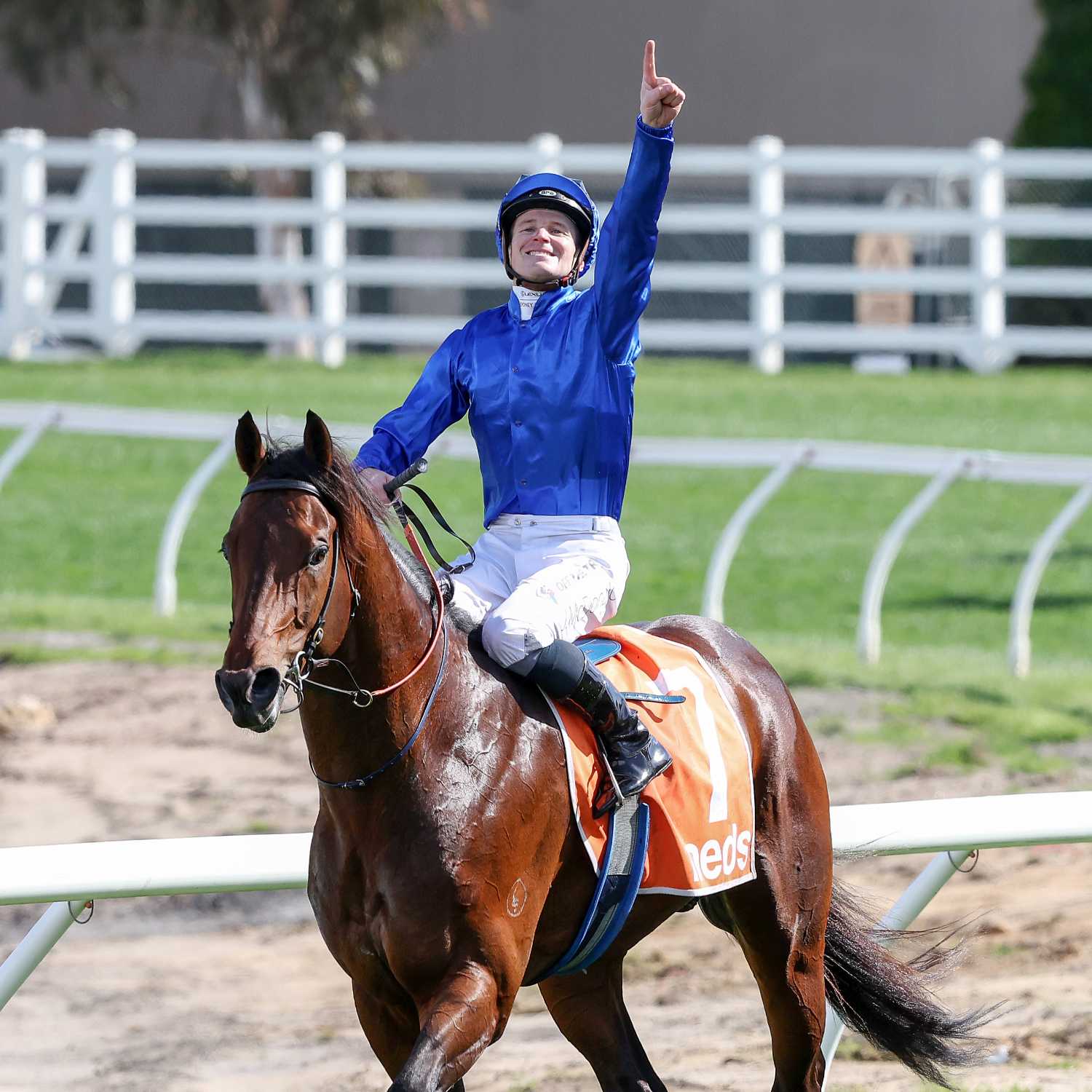 Racing Previews