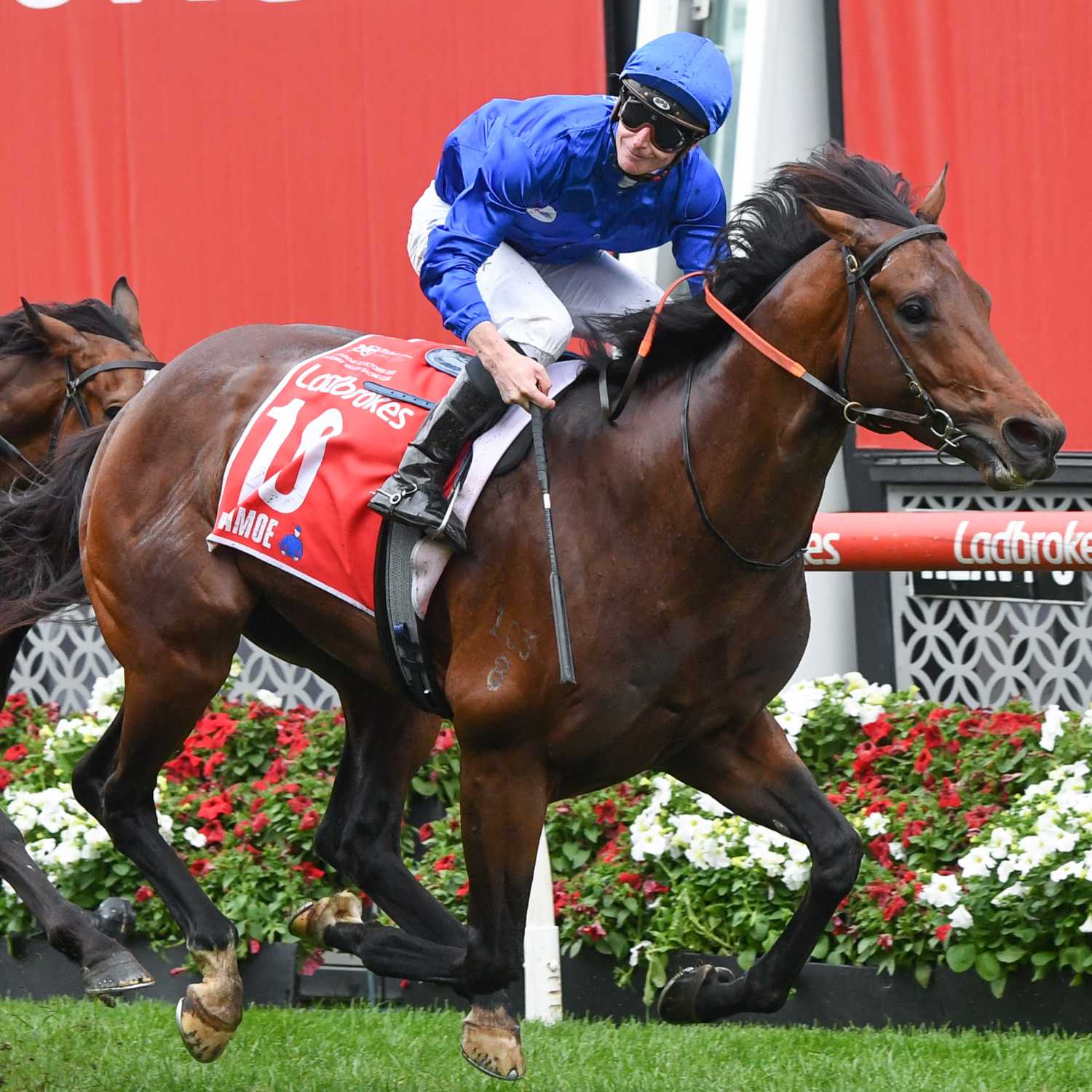 Racing Previews