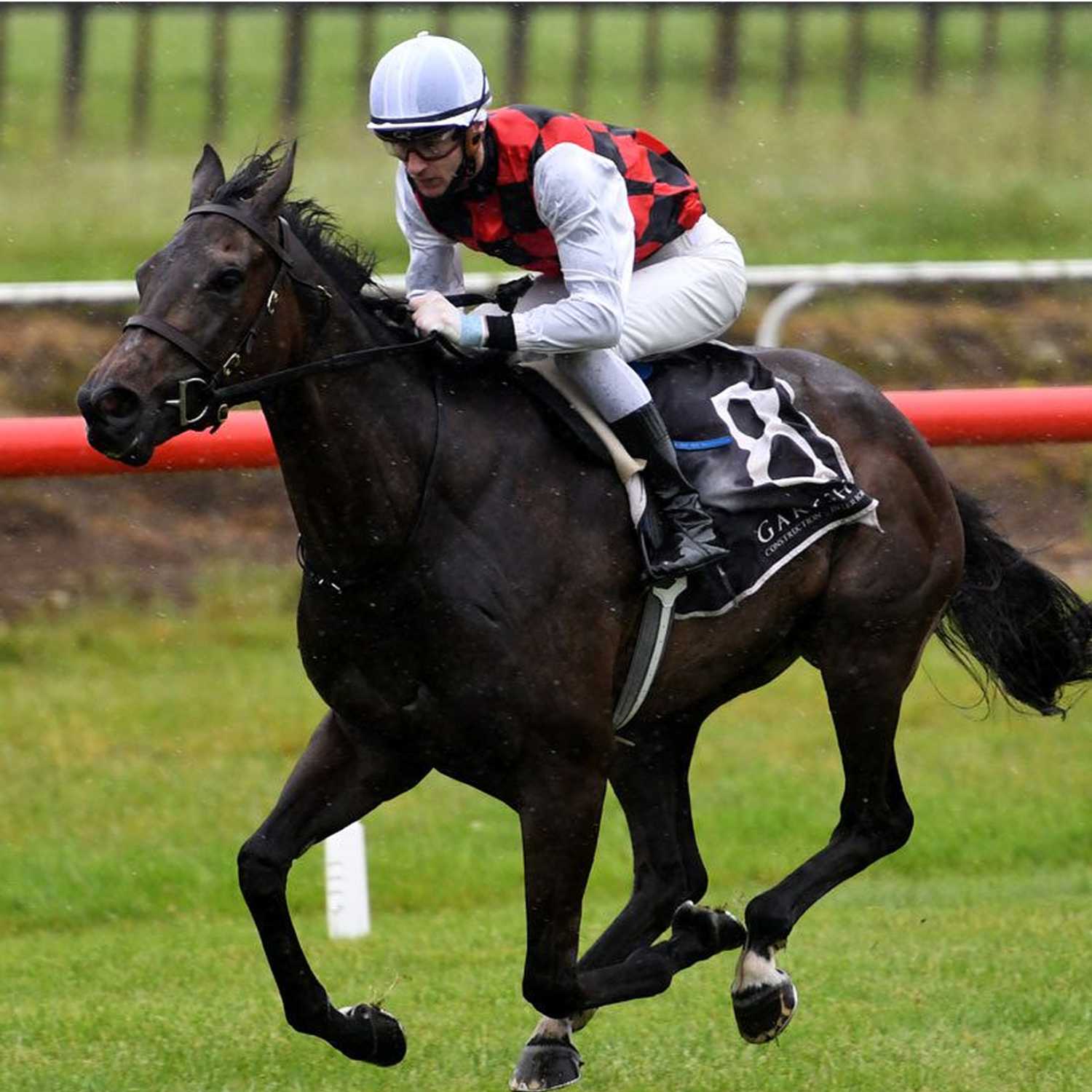 Racing Previews