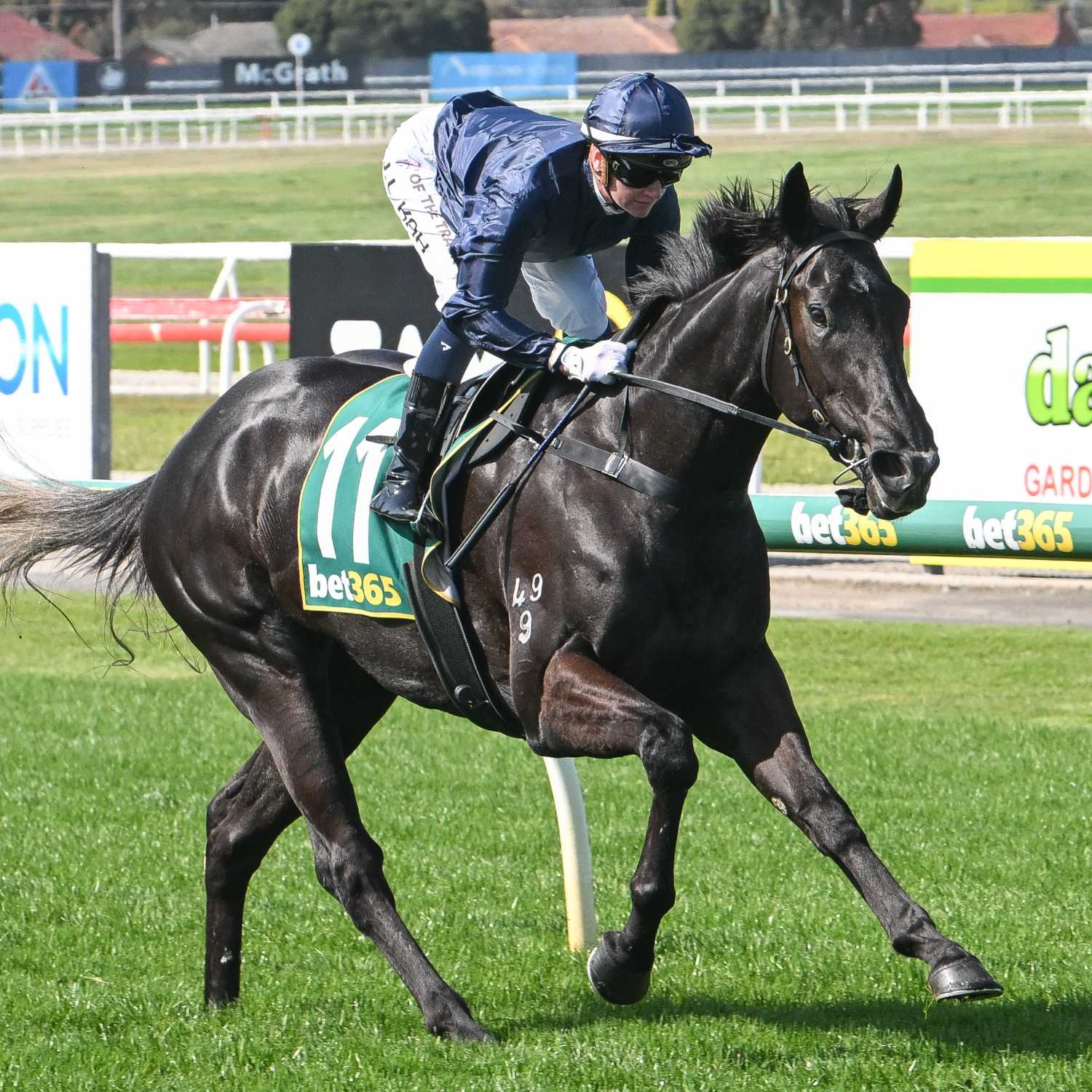Racing Previews