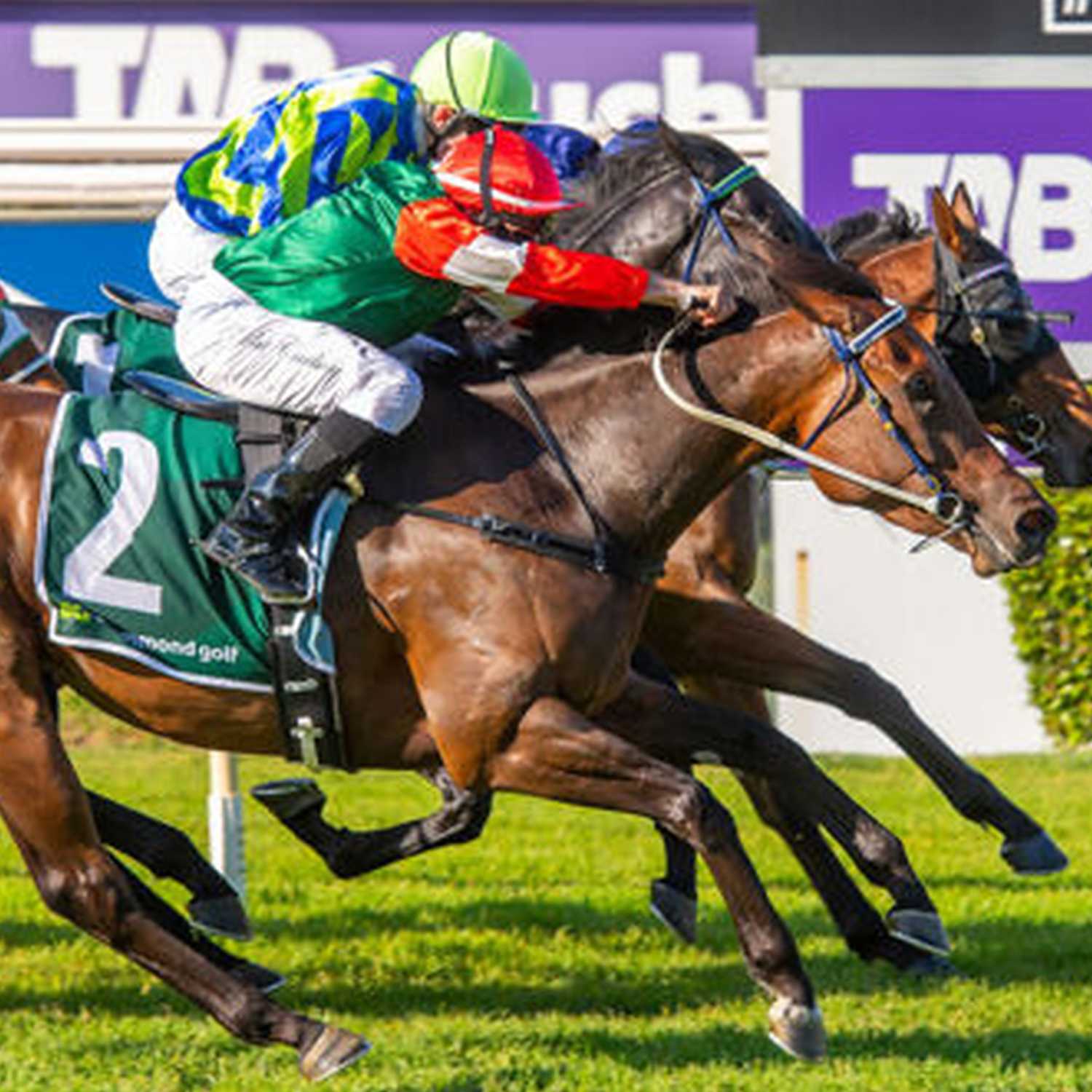 Racing Previews