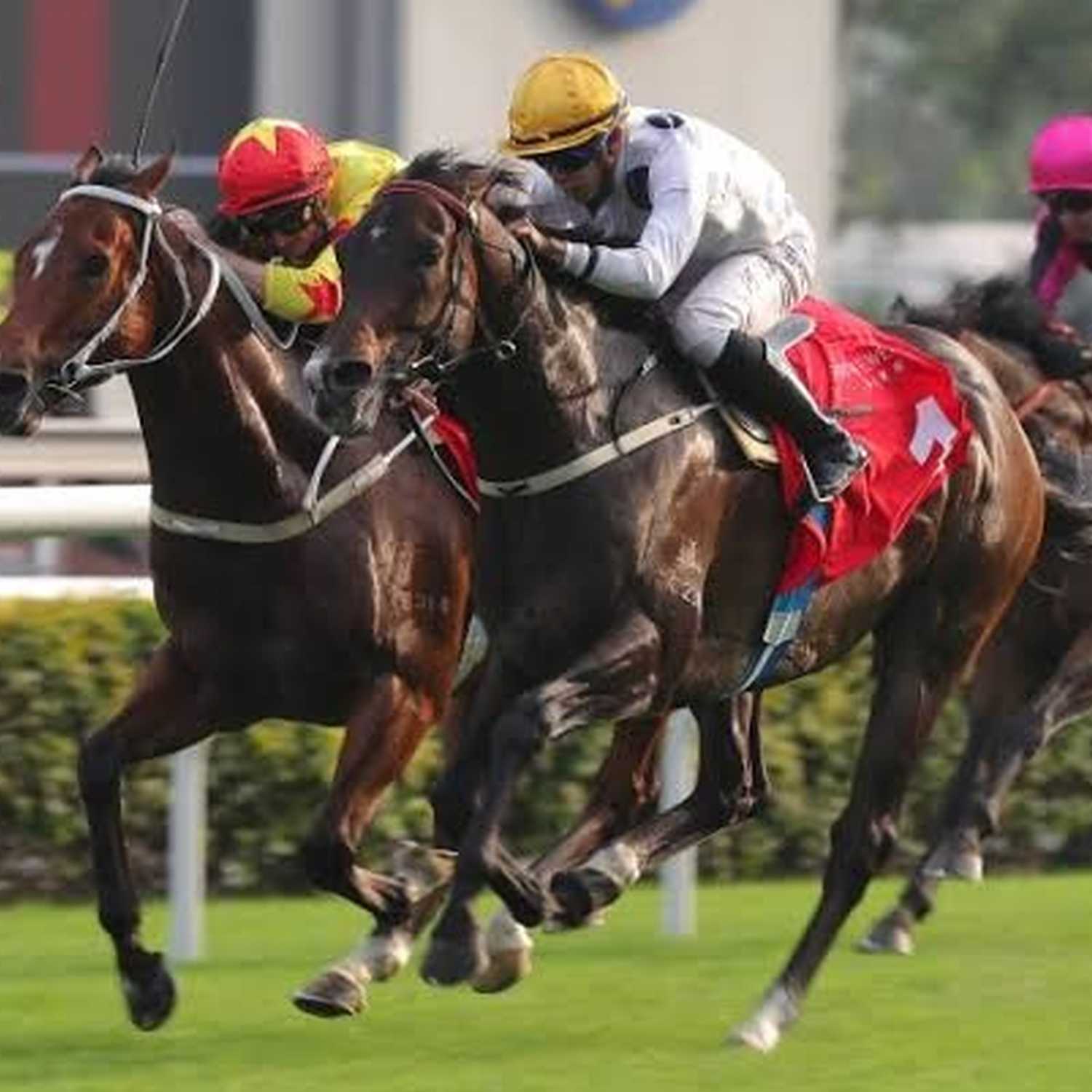 Racing Previews