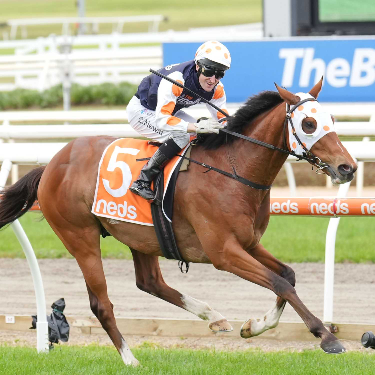 Racing Previews