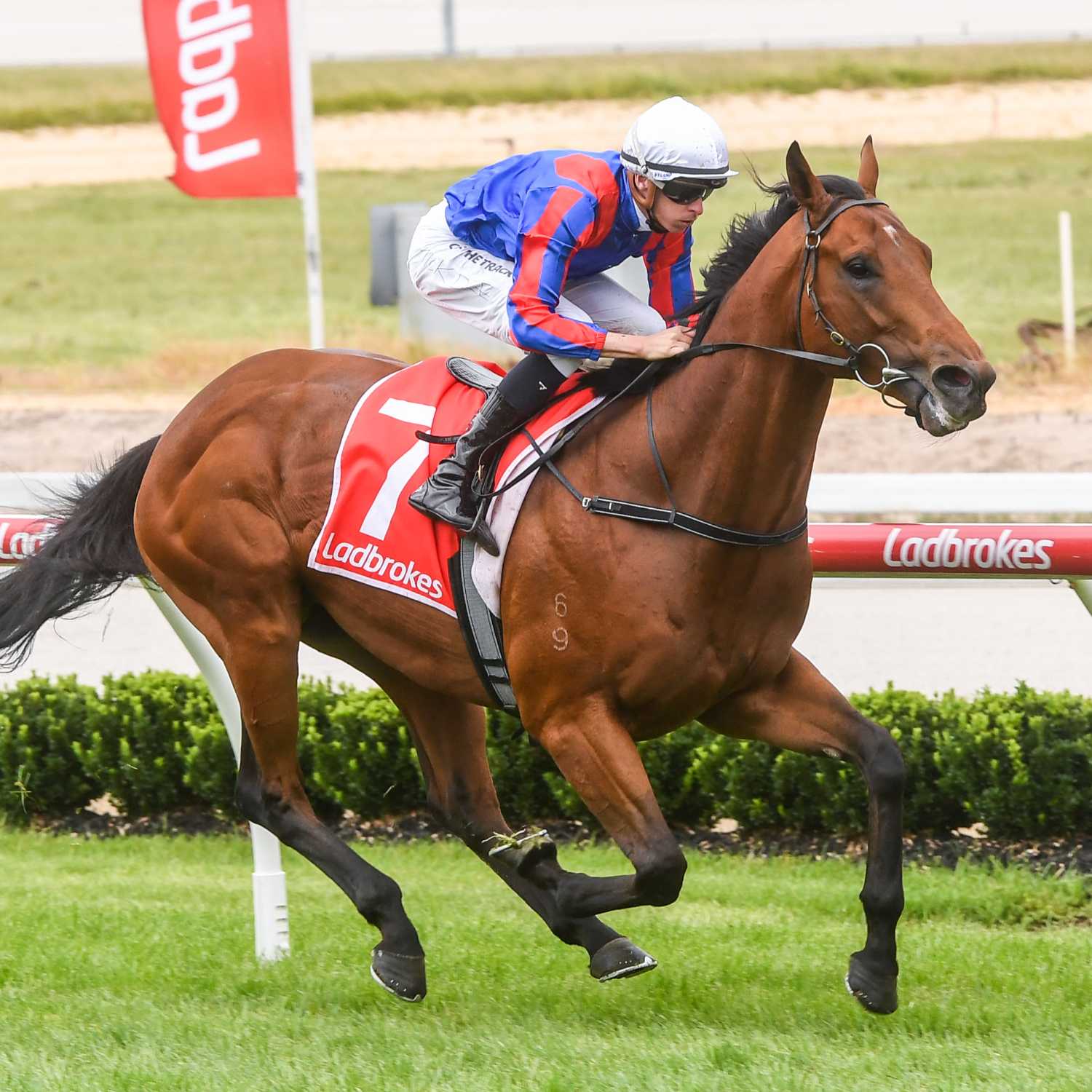 Racing Previews