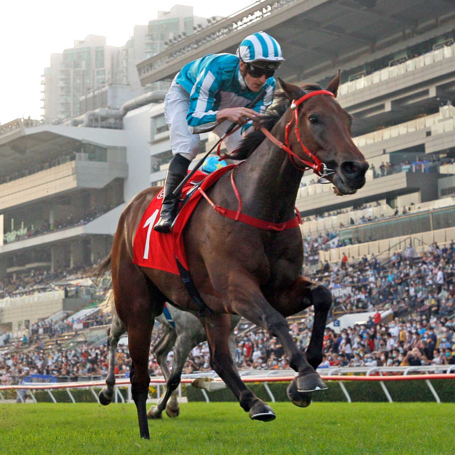 Racing Previews