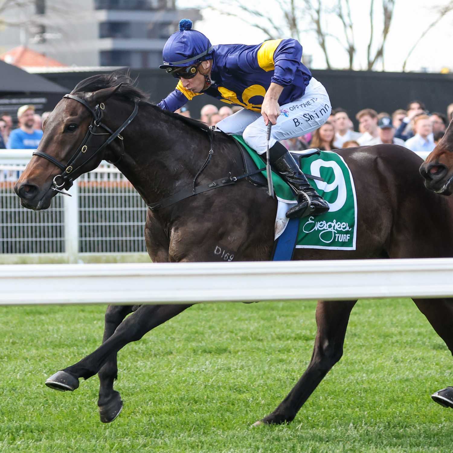 Racing Previews