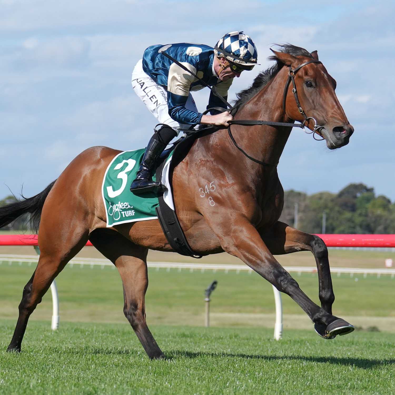 Racing Previews