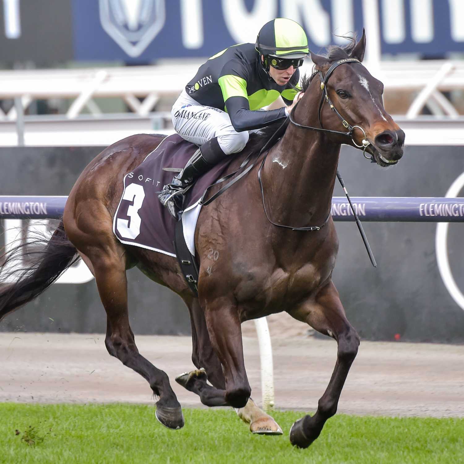 Racing Previews