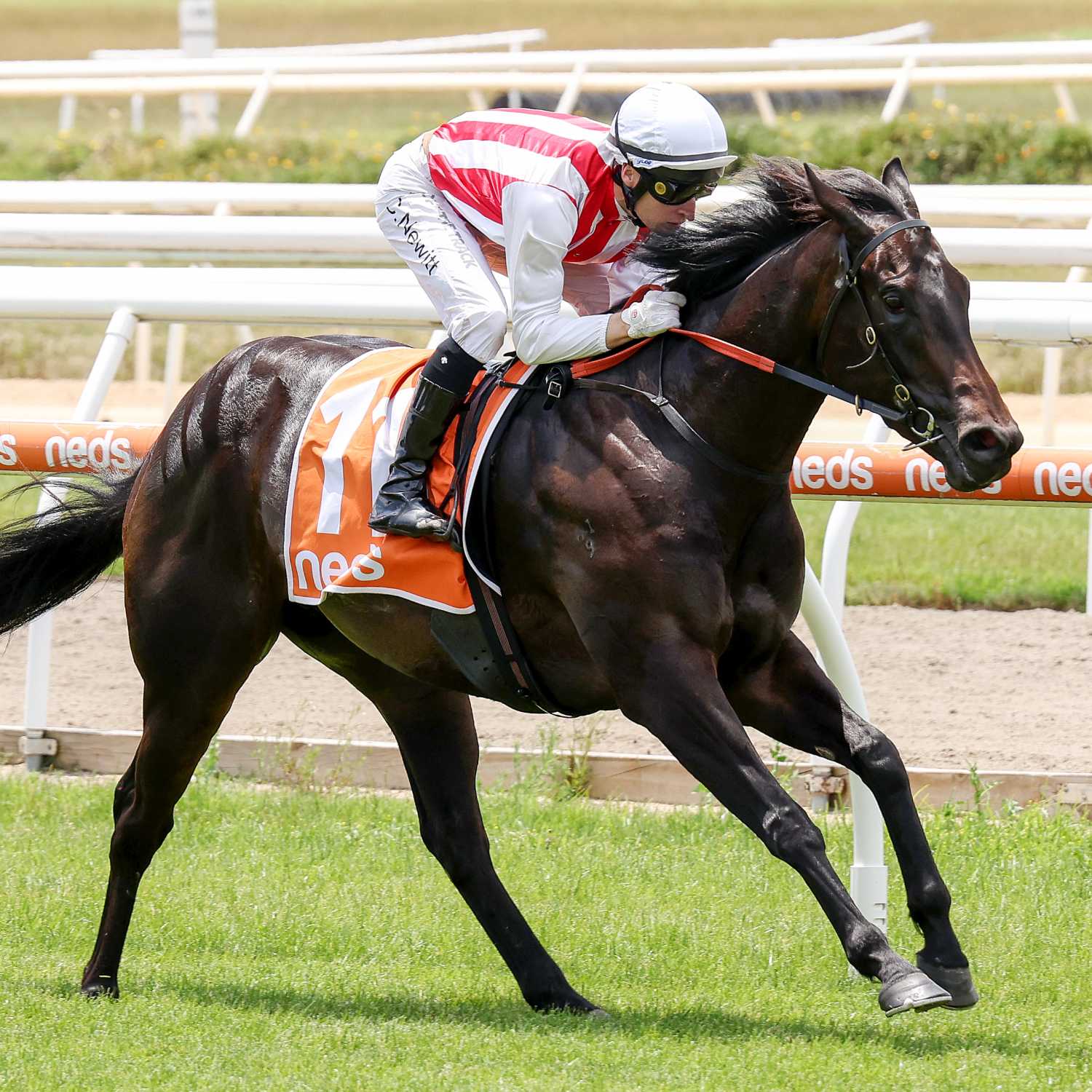 Racing Previews