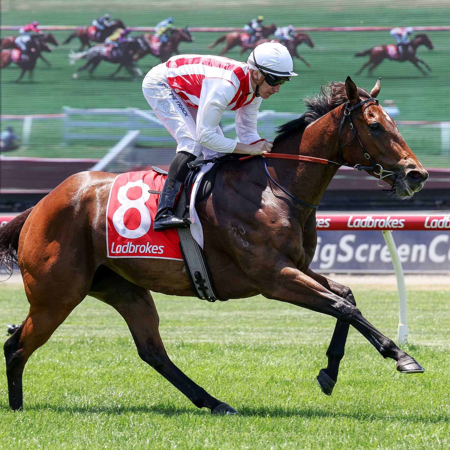 Racing Previews