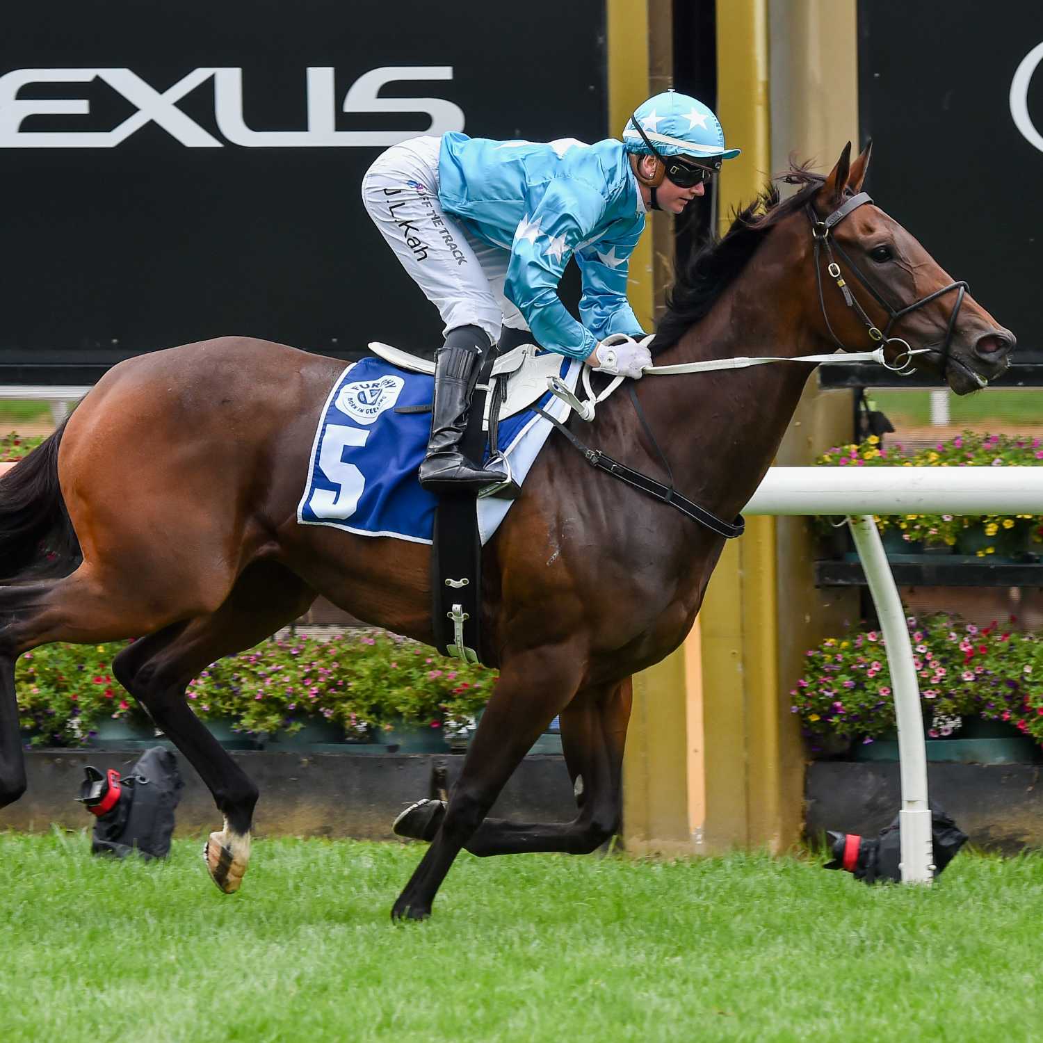 Racing Previews
