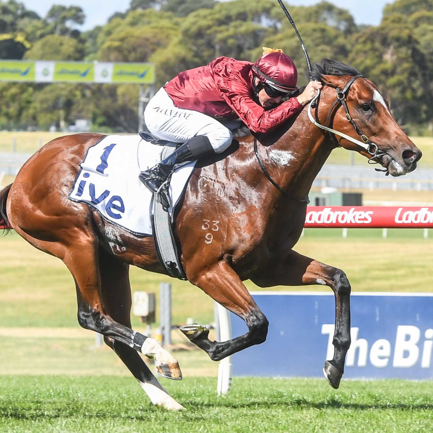 Racing Previews
