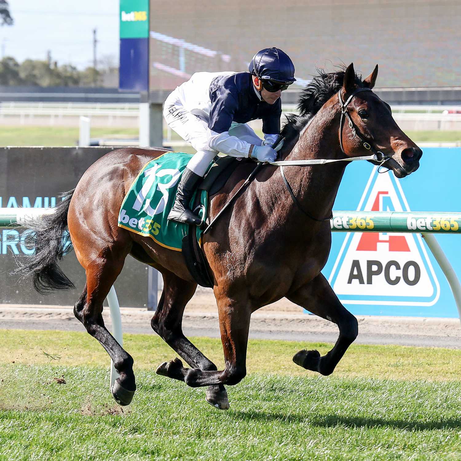 Racing Previews
