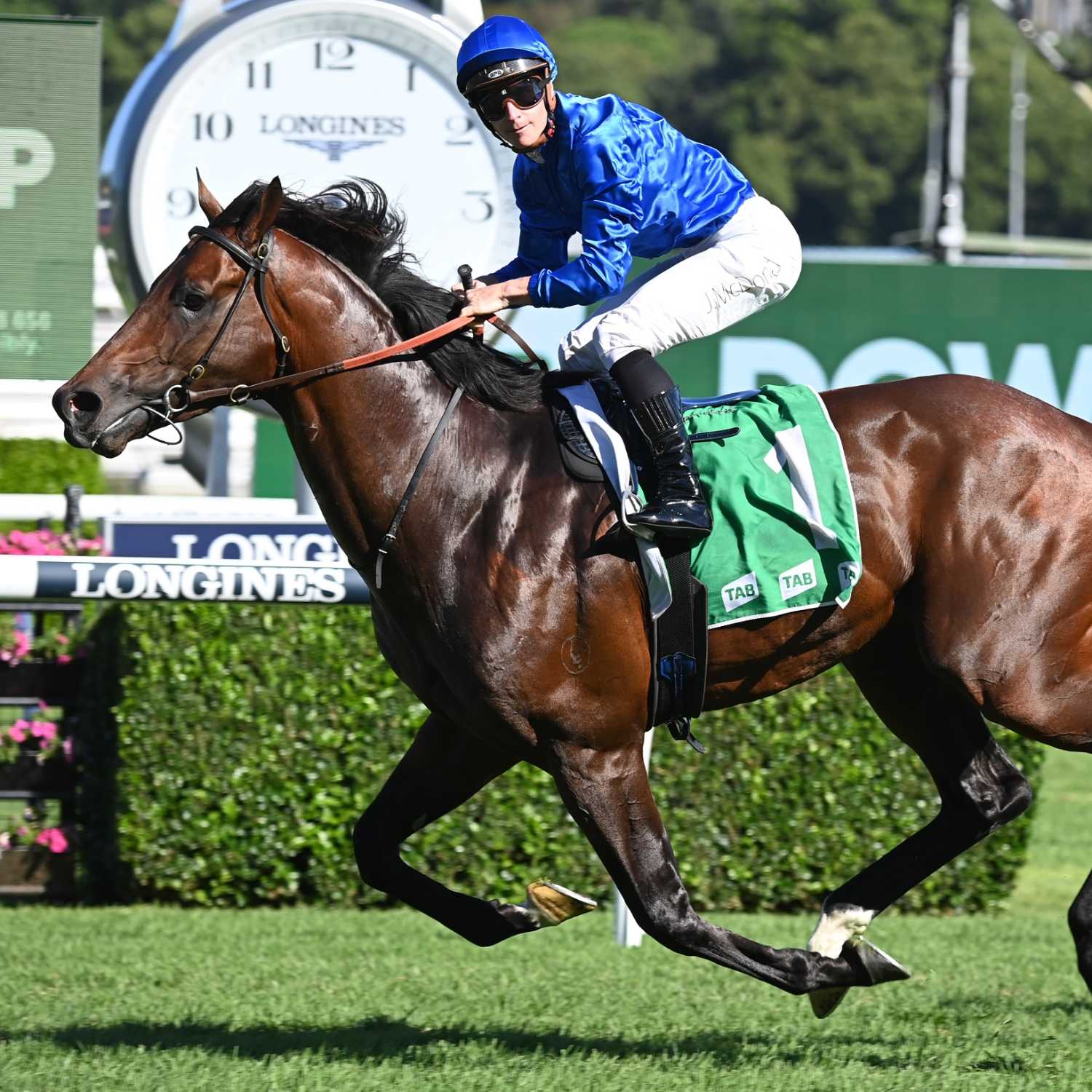 Racing Previews