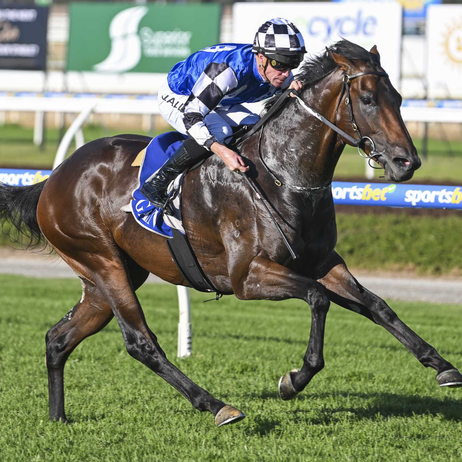 Racing Previews