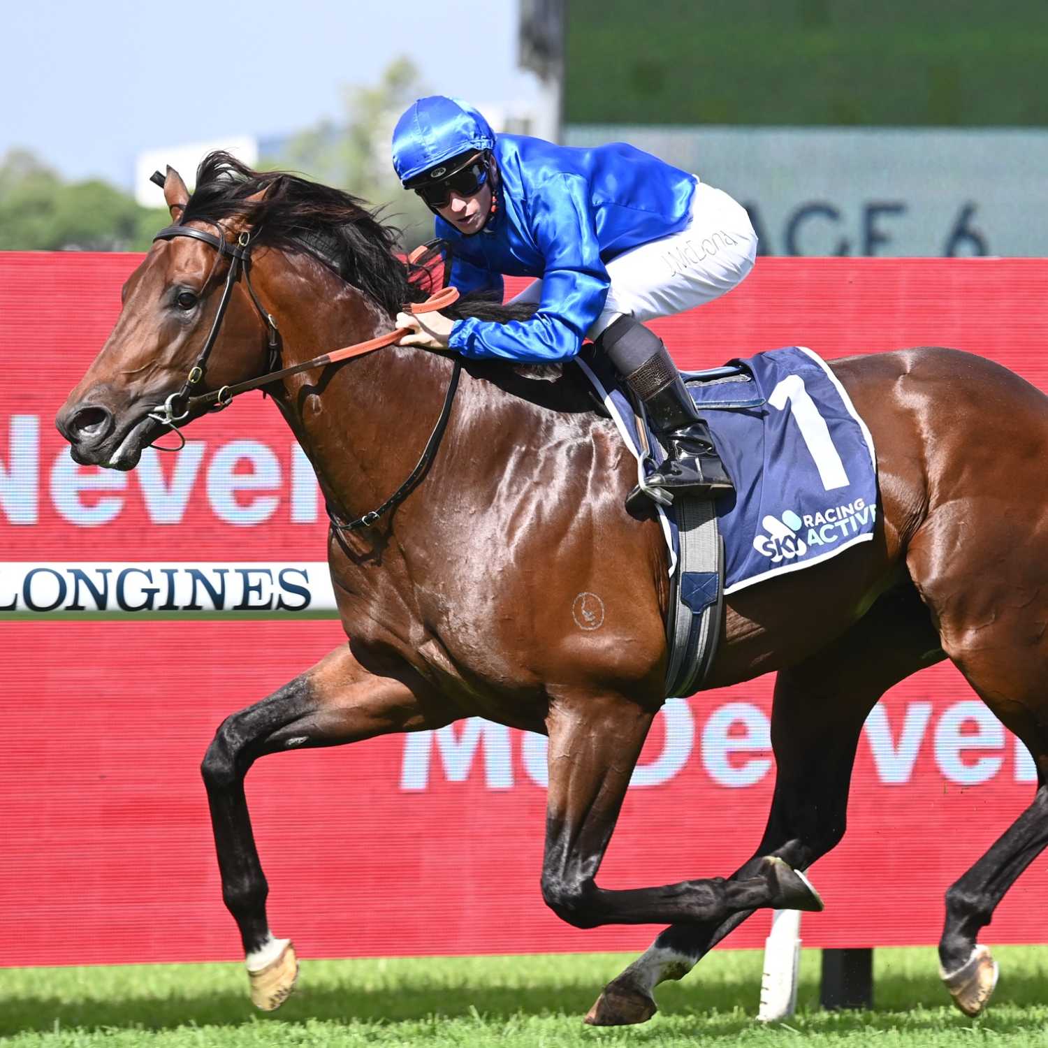Racing Previews
