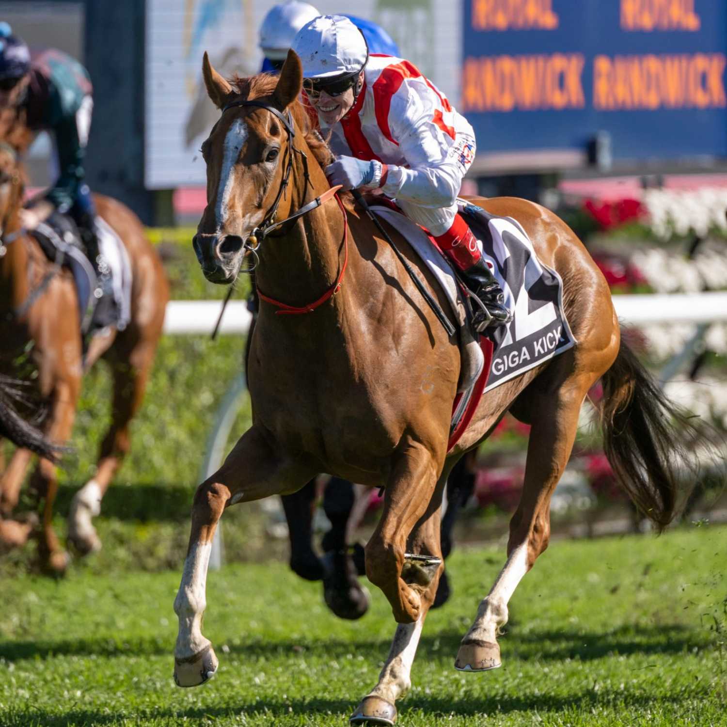 Racing Previews