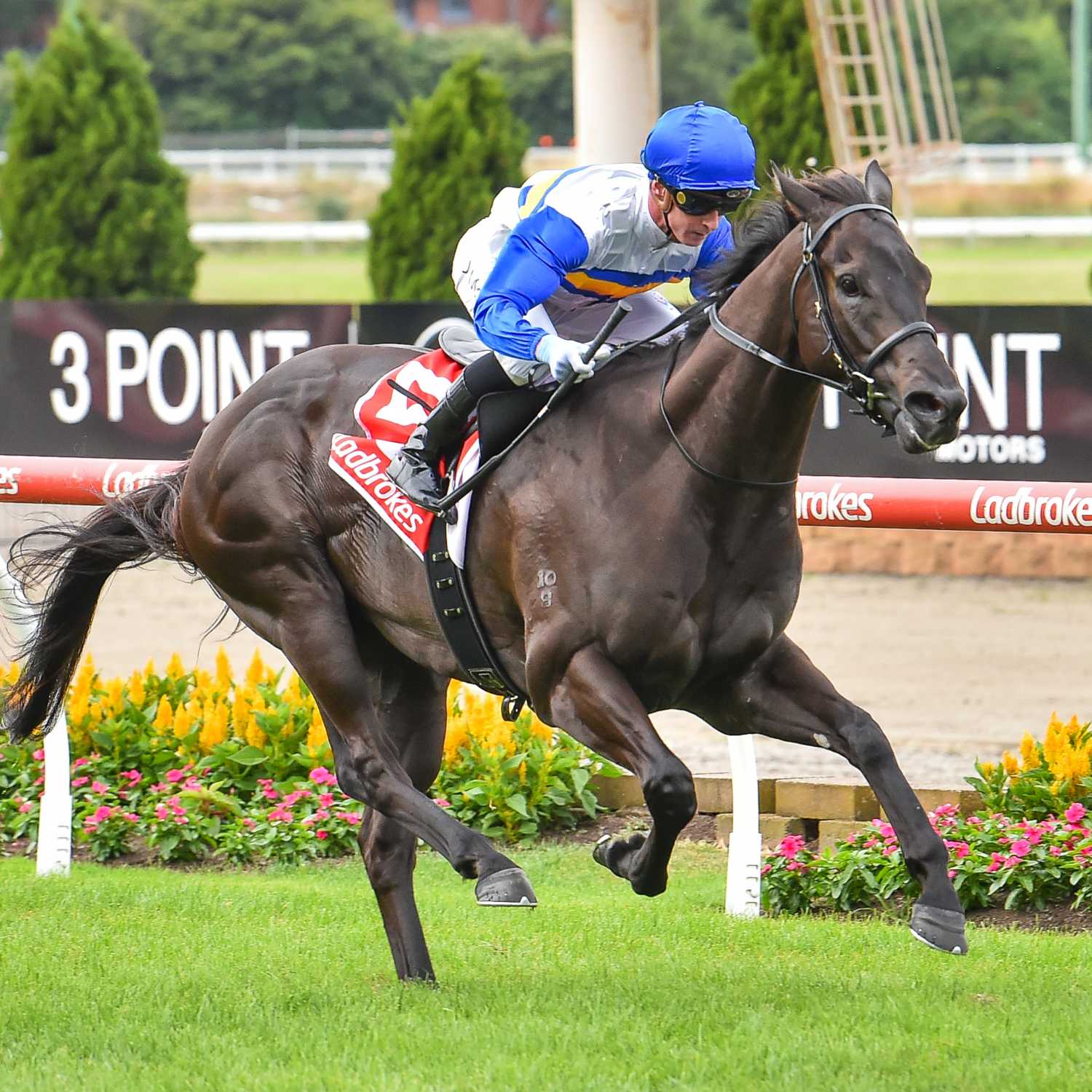 Racing Previews
