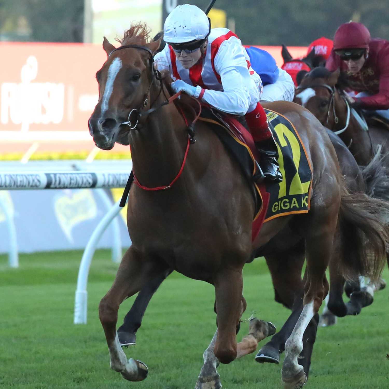 Racing Previews