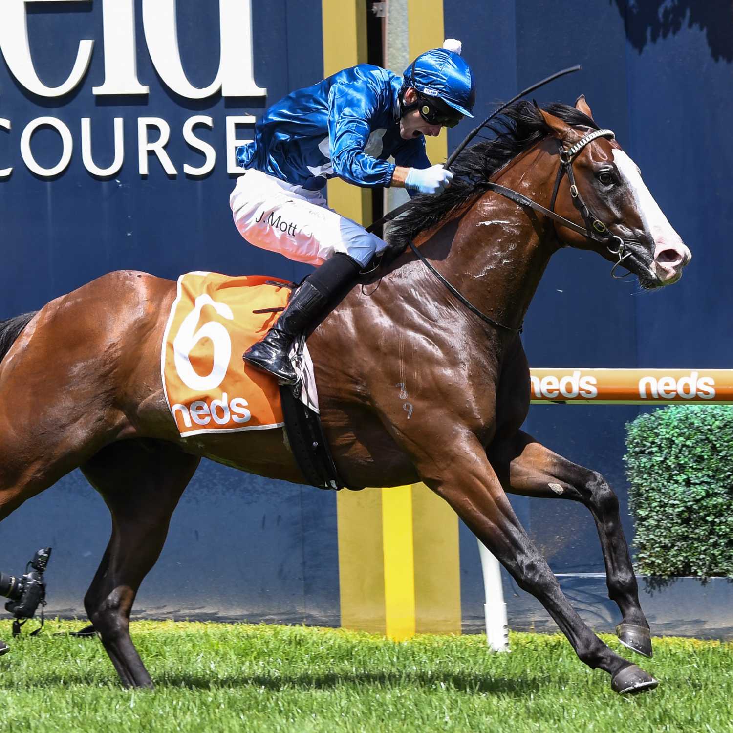 Racing Previews