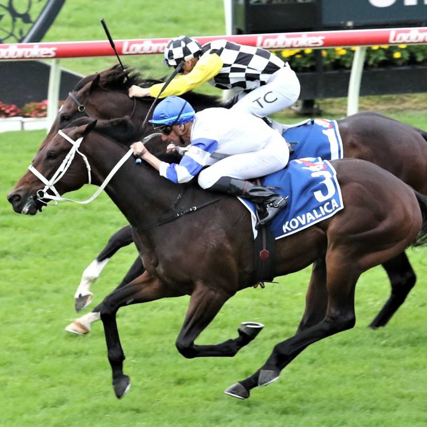 Racing Previews