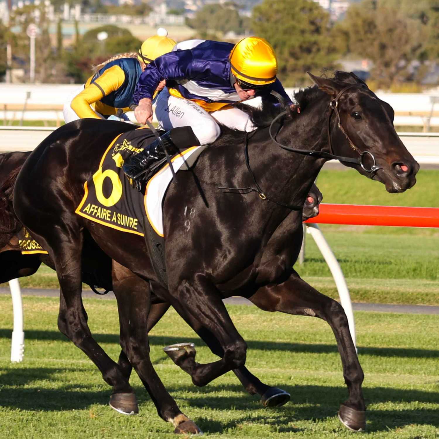 Racing Previews