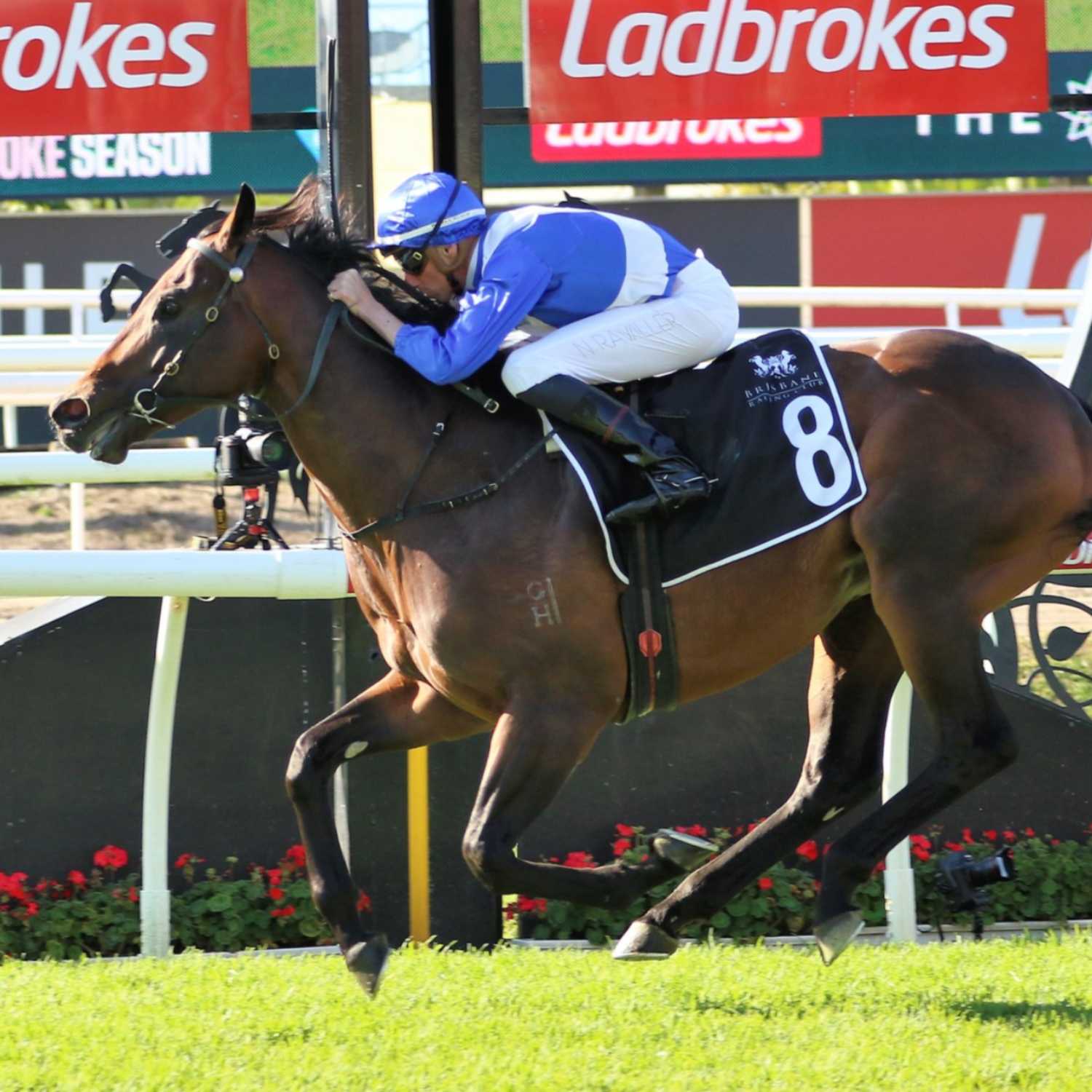 Racing Previews