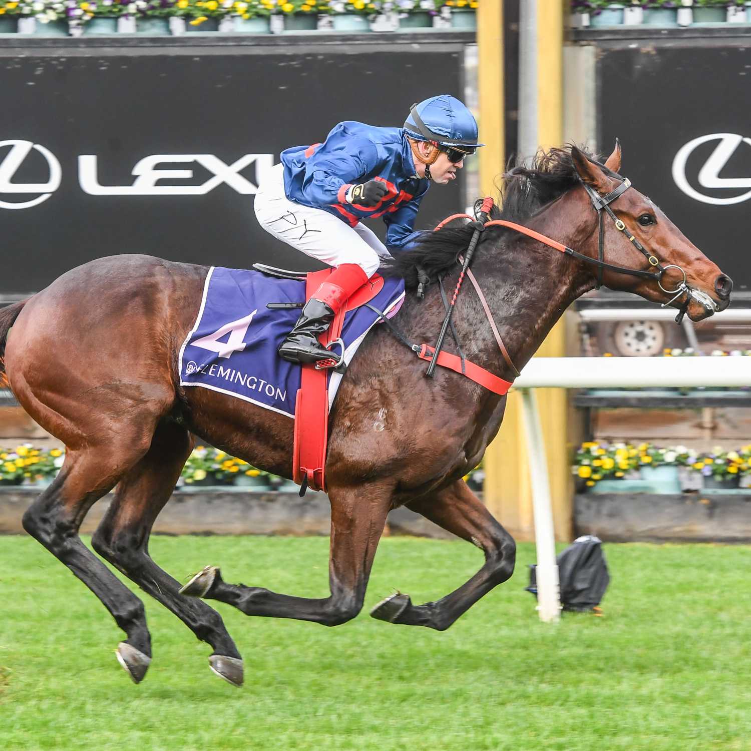 Racing Previews