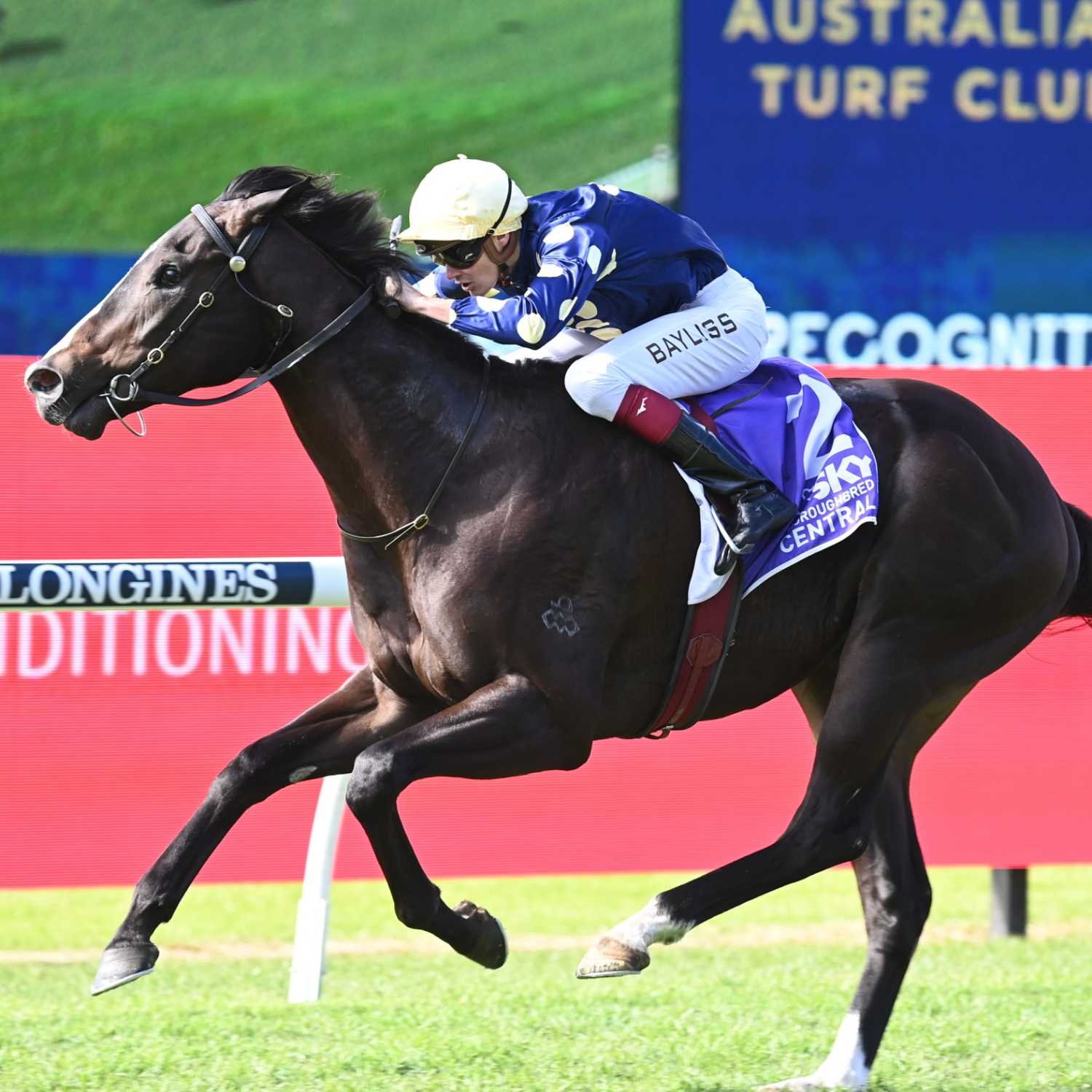 Racing Previews