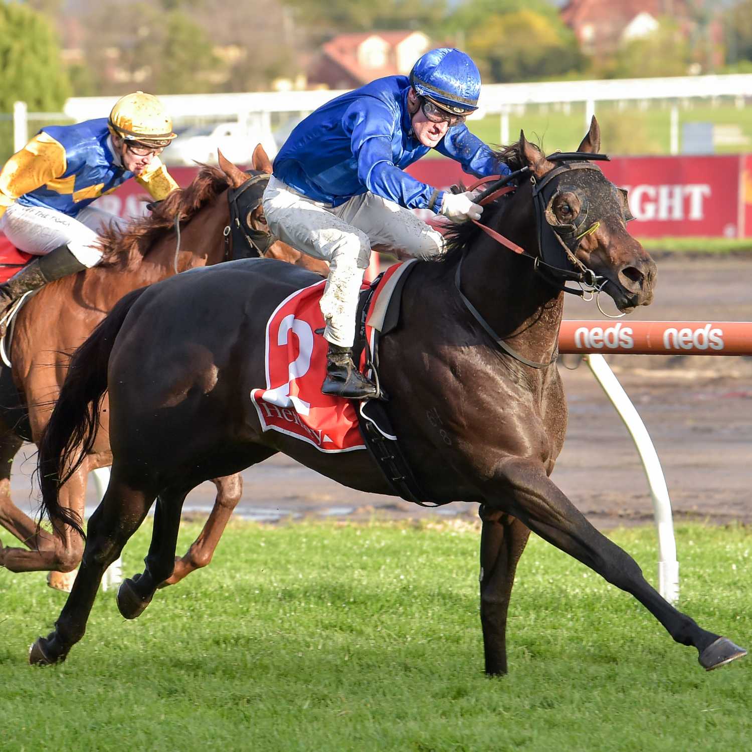 Racing Previews