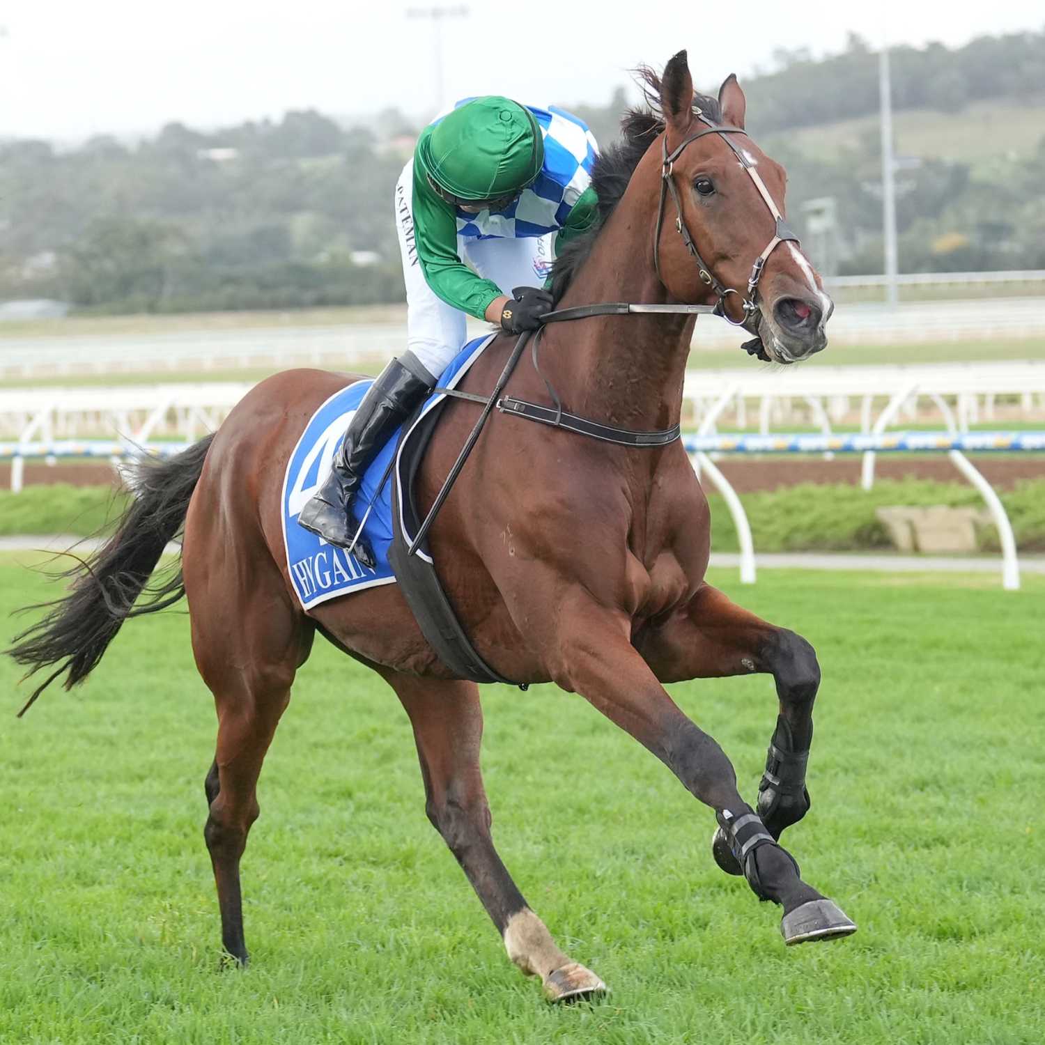 Racing Previews