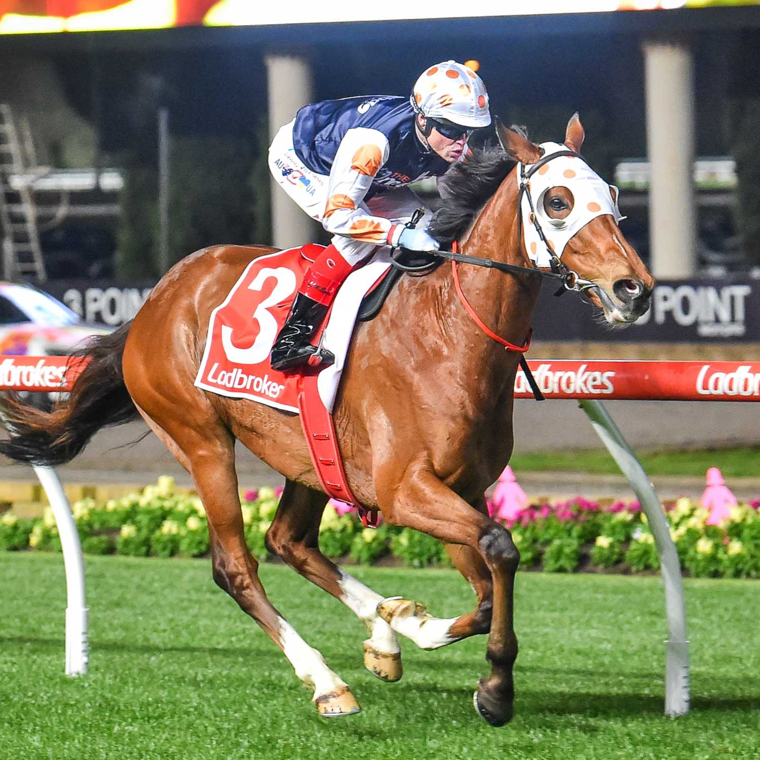 Racing Previews
