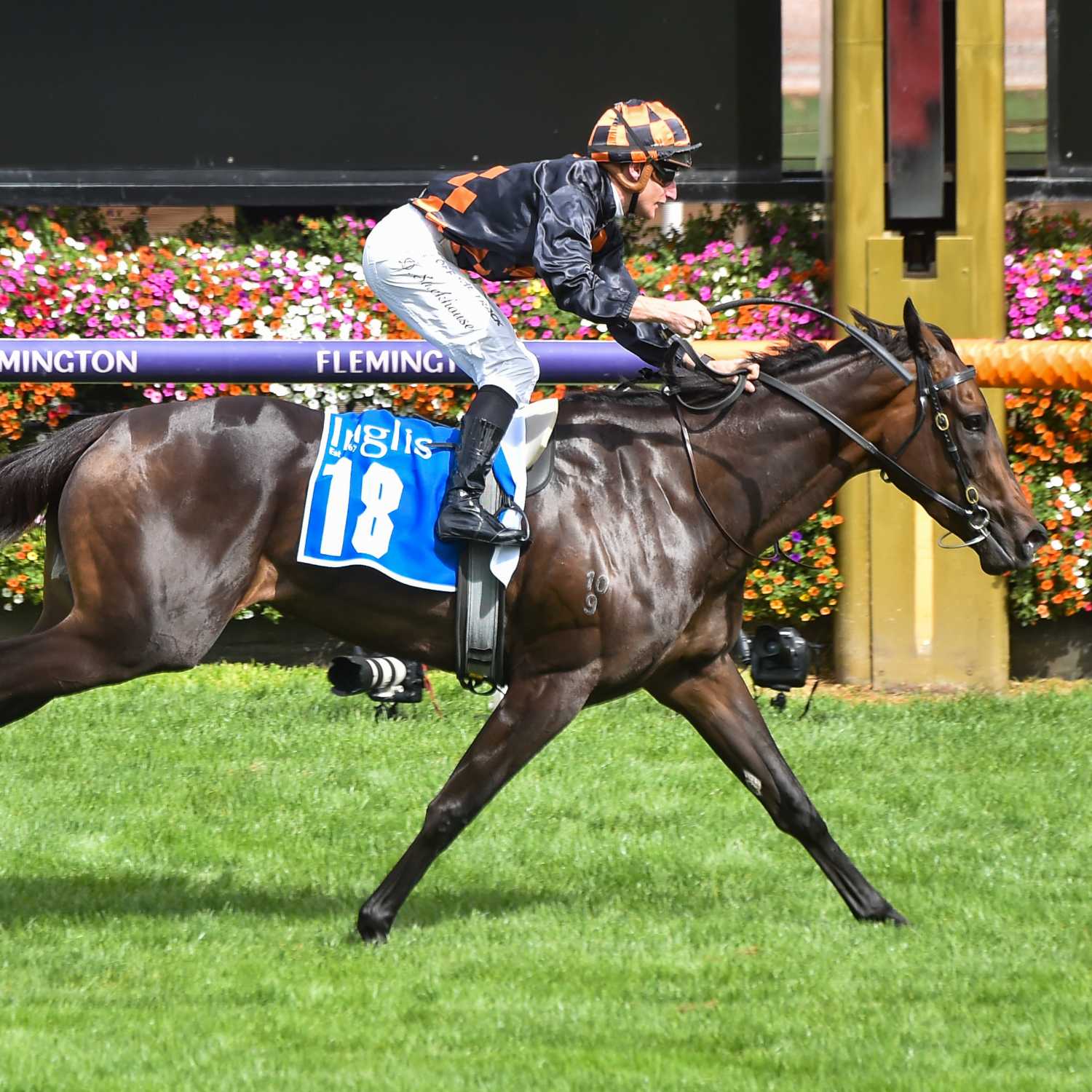 Racing Previews