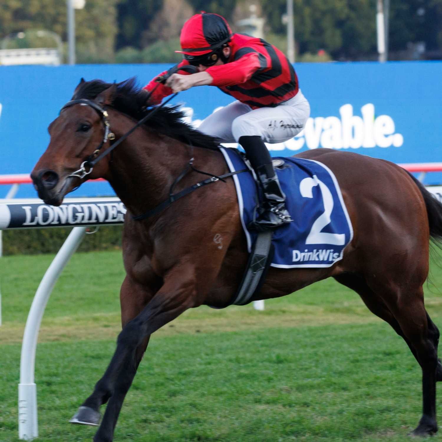 Racing Previews