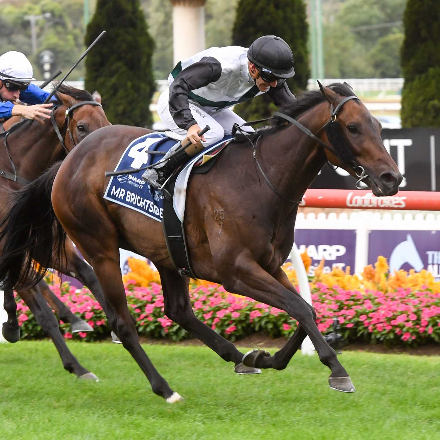 Racing Previews