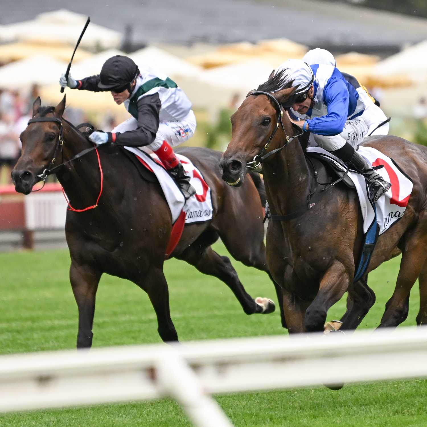 Racing Previews