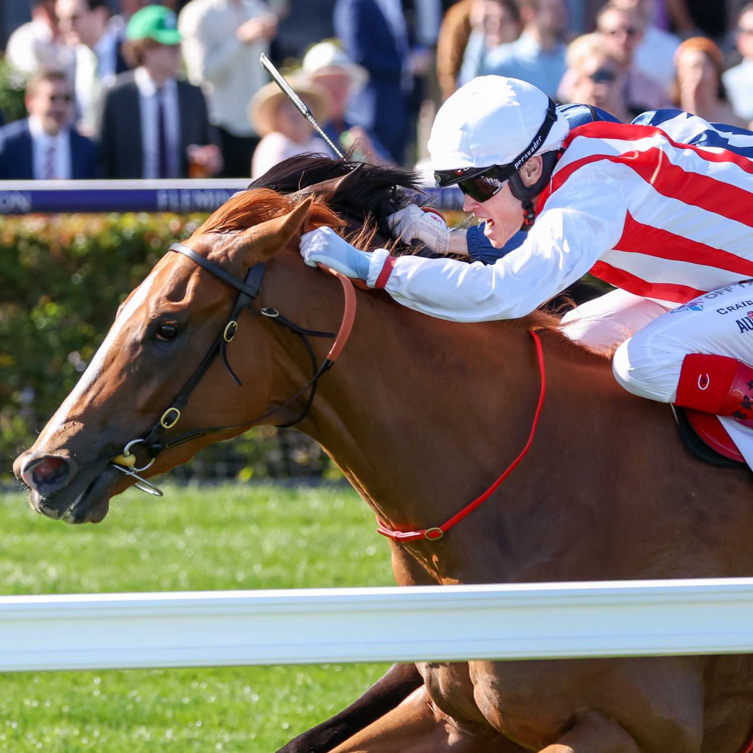 Racing Previews