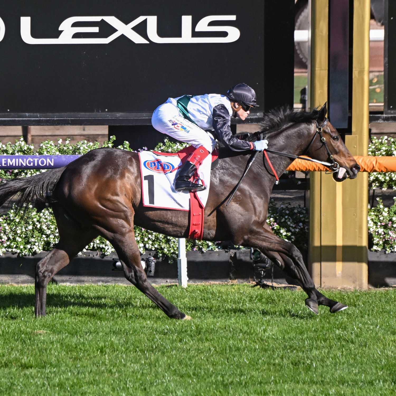 Racing Previews
