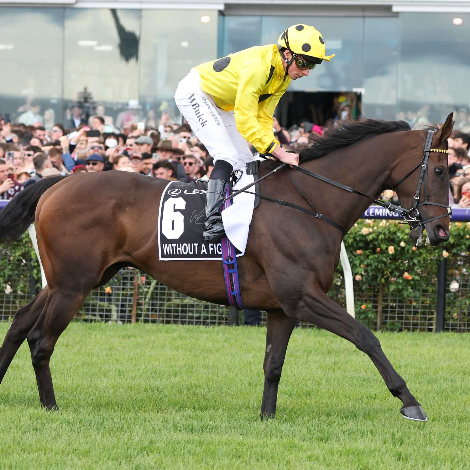 Racing Previews