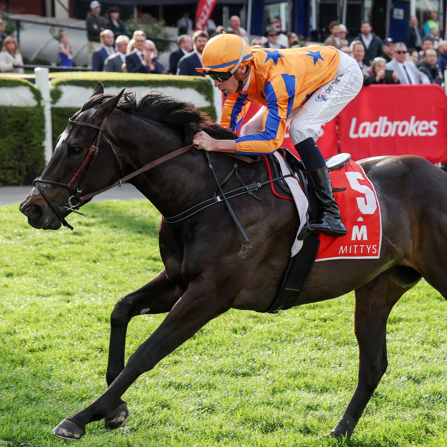 Racing Previews