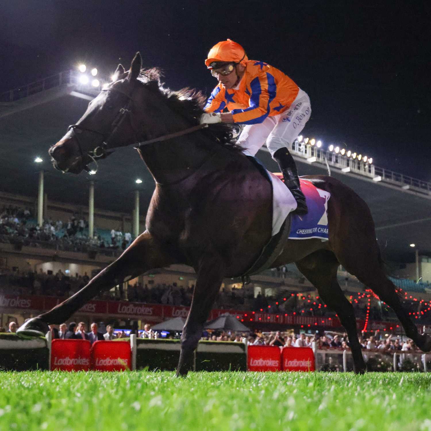 Racing Previews