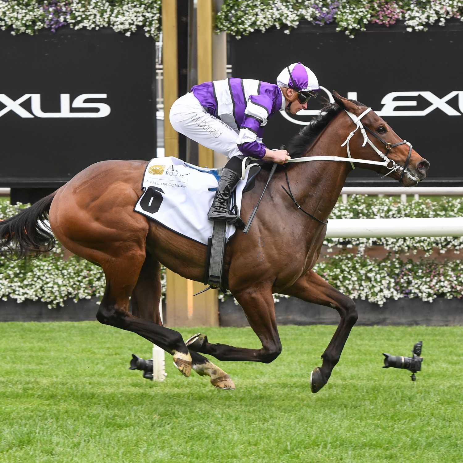 Racing Previews
