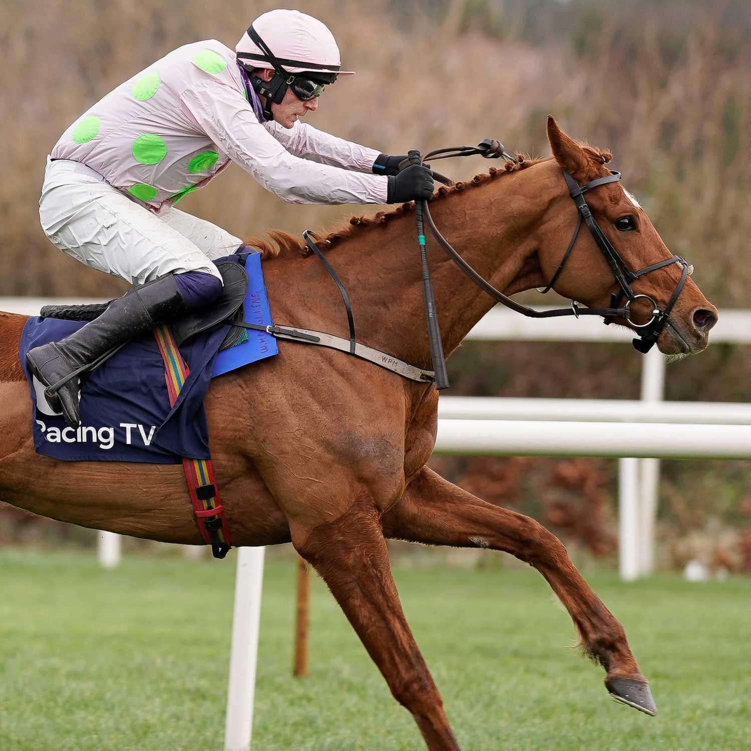 Racing Previews