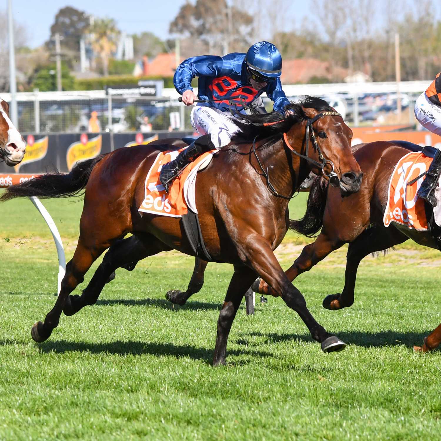 Racing Previews