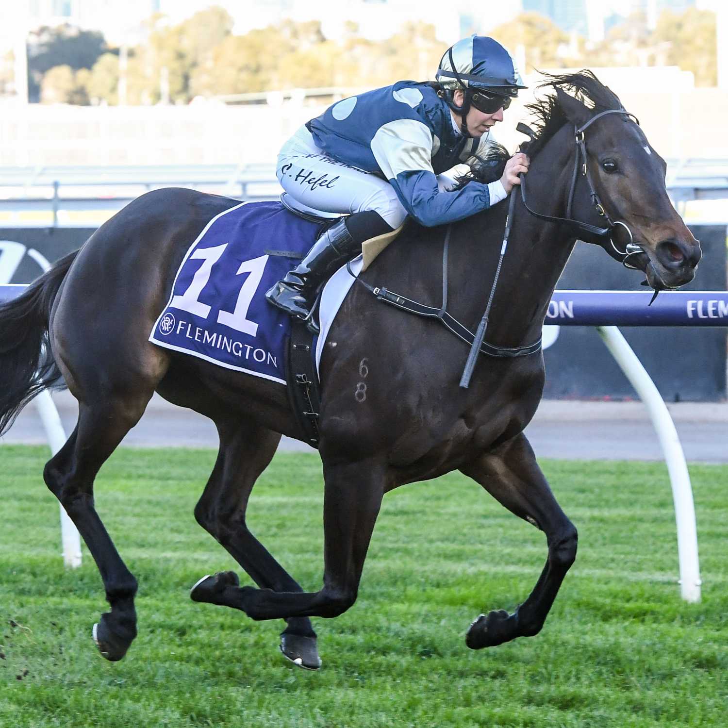 Racing Previews